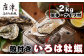 唐津産 殻付きいろは牡蠣 2kg
(軍手・ナイフ付)をお届けいたします。