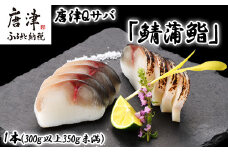 生の新食感 唐津Qサバ「鯖蒲鮨」1本(300g以上～350g未満) さば 蒲鉾 かまぼこ おつまみ ギフト 鯖 サバ 唐津 Qサバ 鯖鮨 呼福 大志 水産 魚 海鮮 水産加工