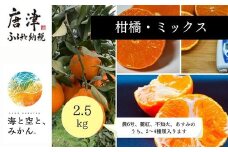 『先行予約』【令和8年1月中旬発送】唐津産ハウス育ち柑橘セット 2.5kg 手提げ箱 (麗紅・あすみ・不知火・農6号の中から2〜4種) 品種おまかせ 〜海と空と、みかん〜 ミカン フルーツ 柑橘 ギフト