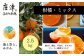 農6号・麗紅・不知火・あすみのうち2～3種類を2.5kgお届けします。