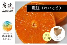 『先行予約』【令和8年1月中旬発送】唐津産ハウス育ち「麗紅」箱込10kg 〜海と空と、みかん〜 ミカン 果物 フルーツ 柑橘 ギフト