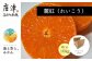 大切な人とシェアできる、箱込10kgでお送りします。