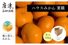 夏の極上ハウスみかん「夏織」箱込10kg 〜海と空と、みかん〜　甘くてとろける夏の果物 ミカン フルーツ 柑橘