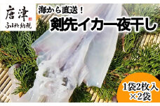 海から直送！剣先イカ一夜干し1袋2枚入り(200ｇ)×2袋 いか おつまみ 干物 酒の肴