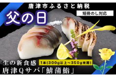 「父の日」生の新食感 唐津Qサバ「鯖蒲鮨」1本(300g以上～350g未満) さば 蒲鉾 かまぼこ おつまみ ギフト 鯖 サバ 唐津 Qサバ 鯖鮨 呼福 大志 水産 魚 海鮮 水産加工