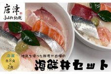 地魚を使った鮮度が自慢の海鮮丼(魚8種/酢飯150g×各2食) 急速冷凍 海鮮 夕食 簡単 解凍