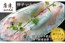 呼子のいか活造り2杯! コリコリ甘い鮮度抜群の透明感! 約250g×2(合計約500g) 刺身 ギフト 冷凍