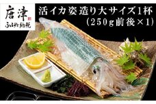 活イカ姿造り大サイズ 1杯(250g前後)！鮮度抜群 捌きたて瞬間冷凍 いか活造り 刺身 簡単 呼子 ギフト