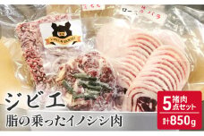 猪肉 5点 セット 合計850g ジビエ 肉 お肉 イノシシ肉 ミンチ バラ ロース モモ