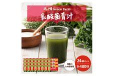 青汁 乳酸菌青汁 24個 セット 合計480袋 健康 飲料 ヘルシー