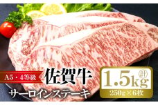 佐賀牛 サーロイン ステーキ 計約1.5kg (250g×6枚) 牛肉 肉 お肉 BBQ ※配送不可:離島