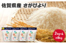 米 8kg 佐賀県産 さがびより 2kg×4 国産米 精米 白米 ご飯 白飯 佐賀県米 お米 コメ こめ