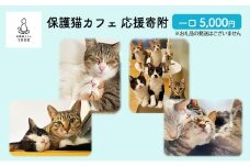 保護猫カフェへの寄附 【お礼品の発送はございません】一口5,000円