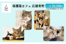 保護猫カフェへの寄附  【お礼品の発送はございません】 一口20,000円