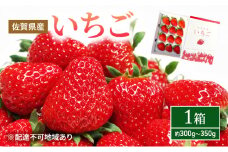 いちご 1箱 （約300g～350g） 佐賀県産 イチゴ 苺 果物 フルーツ デザート ※配送不可:北海道