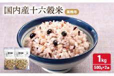 雑穀 国内産 十六穀 米 業務用 合計1,000g (500g×2袋) 食物繊維
