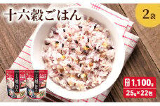 雑穀 十六穀 ごはん 合計1,100g (25g×22包×2袋) 食物繊維