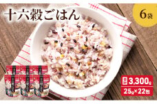 雑穀 十六穀 ごはん 合計3,300g (25g×22包×6袋) 食物繊維