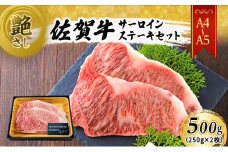 佐賀牛 艶さし！【A4～A5】佐賀牛サーロイン ステーキ セット 500g（250gx2枚） 肉 お肉 牛肉 和牛 牛 ※配送不可：離島