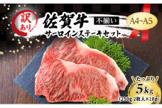 訳あり！ 佐賀牛 【A4～A5】佐賀牛サーロイン ステーキ セット 5kg（250g 2枚入りx10p） 肉 お肉 牛肉 和牛 牛 ※配送不可：離島