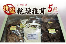 しいたけ 佐賀県産 椎茸 業者直売 特選 乾燥椎茸 セット 松 干し椎茸 乾物 きのこ