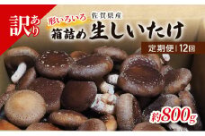 定期便 12ヶ月 訳あり しいたけ 佐賀県産 箱生しいたけ 約800g 訳アリ 椎茸 きのこ 12回 お楽しみ