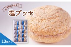 お菓子 鳥栖米 塩ブッセ 10個入り 菓子 ※配送不可：北海道、沖縄、離島