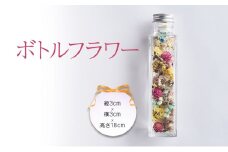 花 ボトルフラワー（ドライフラワー） 花材 ドライフラワー ボトル インテリア ※配送不可：北海道、沖縄、離島