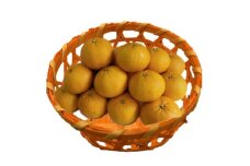 [№5353-0588]甘夏 5kg 柑橘 果物 フルーツ デザート ※配送不可:離島