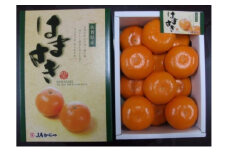 [№5353-0589]【麗江】はまさき 2.5kg 柑橘 果物 フルーツ デザート ※配送不可:離島