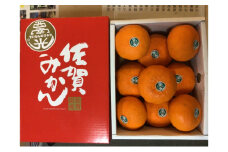 [№5353-0595]西南の光 2.5kg（化粧箱入り） 柑橘 果物 フルーツ デザート ※配送不可:離島