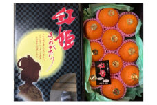 [№5353-0597]紅姫（津の輝き）2.5kg 柑橘 果物 フルーツ デザート ※配送不可:離島