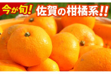 デコポン 不知火 約5kg  佐賀県産 みかん 柑橘類 ※配送不可：北海道、沖縄県、離島