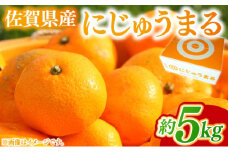 みかん 家庭用 佐賀県産 にじゅうまる 約5kg 柑橘類 ※配送不可：北海道、沖縄県、離島