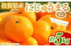 みかん 家庭用 佐賀県産 にじゅうまる 約5kg 柑橘類 ※配送不可：北海道、沖縄県、離島