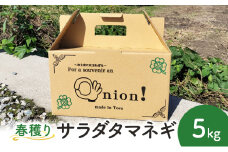 玉ねぎ 春穫り サラダタマネギ 5kg 野菜 タマネギ