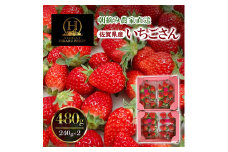 いちご 農家直送 いちごさん 480g (240g×2) イチゴ 朝摘み ブランド 果物 ※配送不可：離島