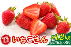 いちご 佐賀県産 いちごさん 約1.2kg (約150g×8パック) イチゴ 果物 ※配送不可：北海道、沖縄県、離島