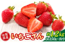 いちご 佐賀県産 いちごさん 約1.2kg (約150g×8パック) イチゴ 果物 ※配送不可：北海道、沖縄県、離島