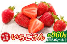 いちご 佐賀県産 いちごさん 約960g (約240g×4パック) イチゴ 果物 ※配送不可：北海道、沖縄県、離島