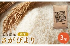定期便 3回 米 さがびより 佐賀県産 白米 3kg 五つ星お米マイスター厳選 ご飯 お米 コメ こめ ※配送不可：離島