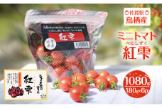 トマト 佐賀県鳥栖産 ミニトマト 紅雫 (べにしずく) 180g×6パック 野菜 小分け