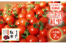 トマト 佐賀県鳥栖産 ミニトマト 紅雫 (べにしずく) 大容量 2kg！ 野菜