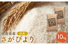新米 先行予約 さがびより 佐賀県産 白米 10kg (5kg×2) 五つ星お米マイスター厳選 米 ※配送不可：離島