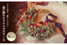 リース 森の薫りのクリスマスリース Mサイズ インテリア
