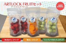 フルーツセット 九州産 ARTLOCK FRUIT（アートロックフルーツ） セット/「あまおう」2パック「秋王」1パック「シャインマスカット」2パック 国産冷凍フルーツ あまおう いちご イチゴ 柿 かき マスカット 果物 くだもの 冷凍 ※配送不可:離島