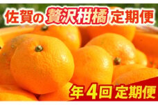 定期便 4回 柑橘 佐賀の贅沢柑橘定期便 みかん 果物 年4回 ※配送不可：北海道、沖縄県、離島