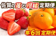 定期便 6回 佐賀の苺と柑橘定期便 いちご 柑橘 年6回 ※配送不可：北海道、沖縄県、離島