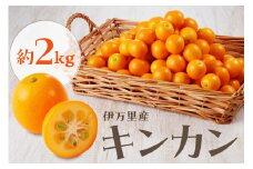 【減農薬】伊万里産 キンカン 2kg 柑橘類 003-B059