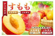 【先行予約】伊万里のすもも「大石早生・ソルダム」 003-B728